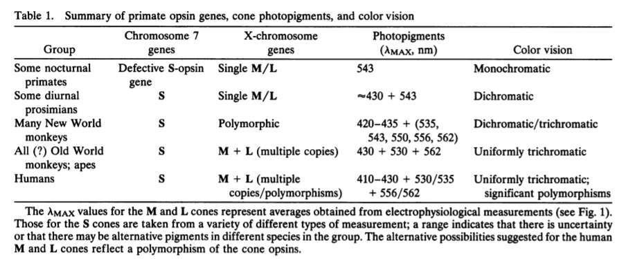 Can monkeys see colors