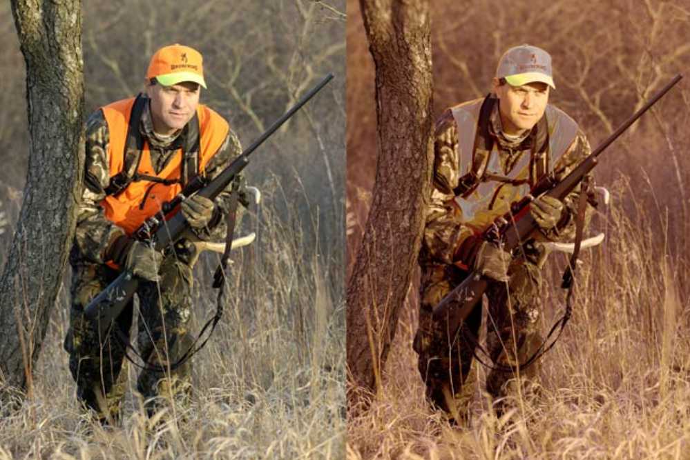 Deer vision vs human vision