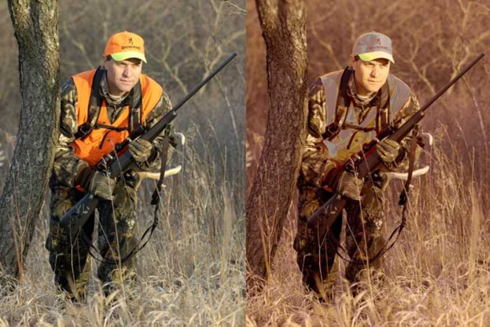 Deer vision vs human vision