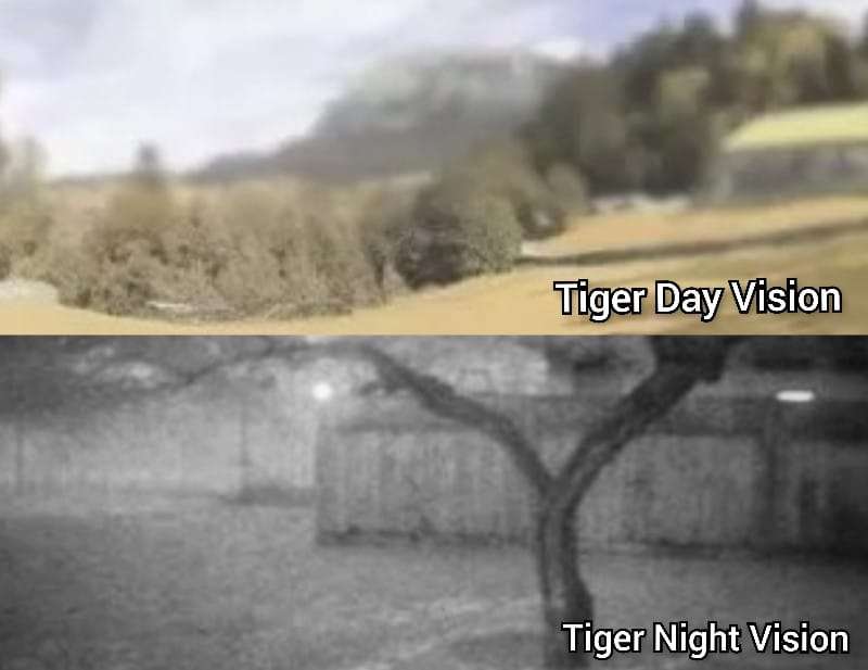 Tiger Vision 
