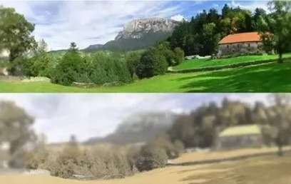 Tiger Vision vs Human Vision