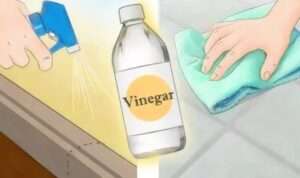 Add Vinegar and Water