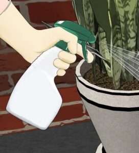 How to stop ants from nesting in plant pots