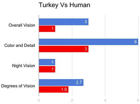 Turkey Vision vs Human Vision
