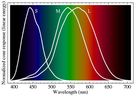 Turkey-Color-Vision