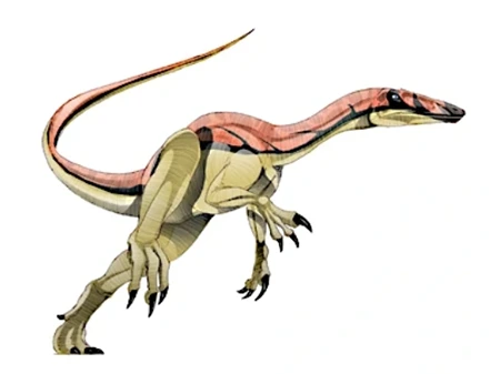 Nqwebasasaurus