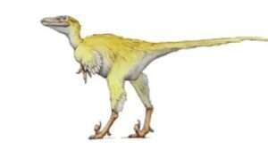 Tianyuraptor