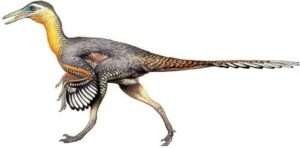 Buitreraptor