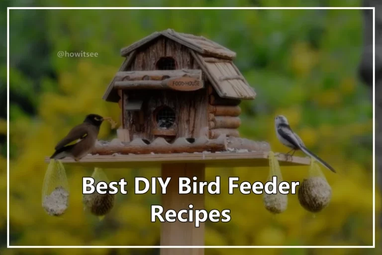 DIY Bird Feeder Recipes