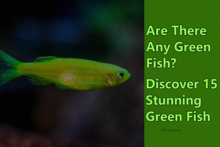 Green Fish List