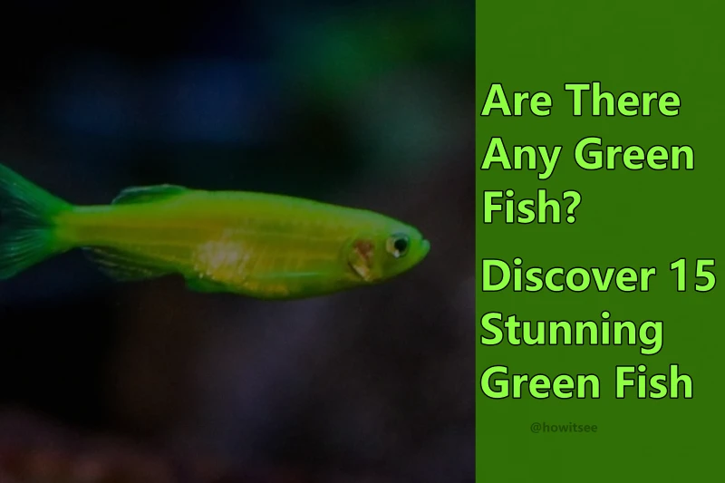 Discover 15 Stunning Green Fish With Info Pictures 