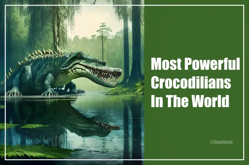 Most Powerful Crocodilians