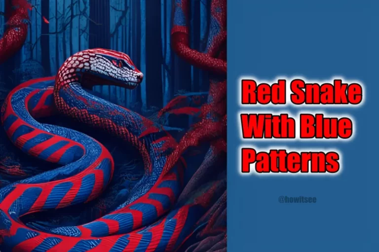 Red Snake with Blue Patterns