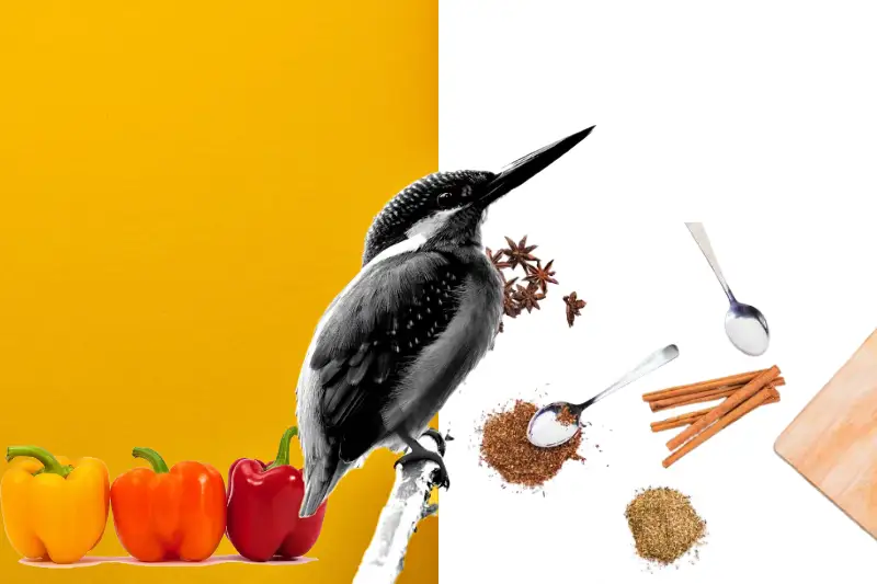 Peppers and Spices Affect Animals