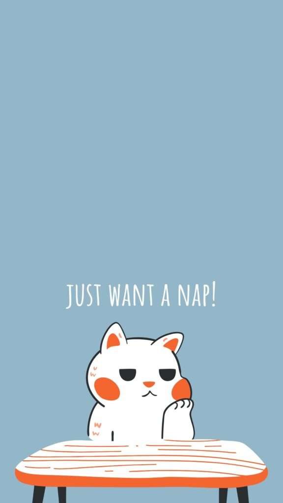 16+ Cute Cat Wallpapers, Lockscreen for Mobile device - HowitSee