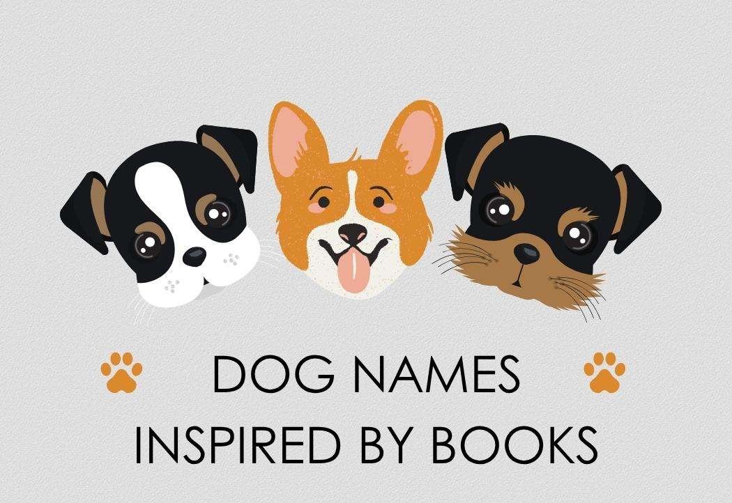 80 Dog Names Inspired by Books (Clever, Charming & Literary)
